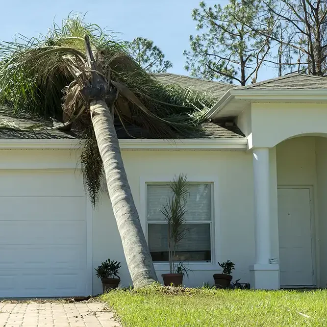 hurricane damage house roof florida fallen down big tree after tropical storm winds consequences natural disaster copy